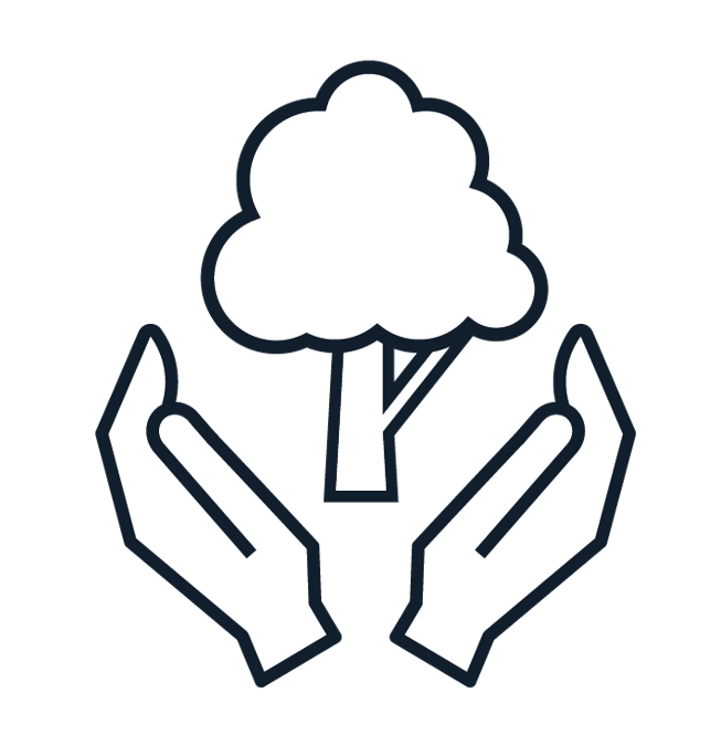 Hands holding a tree