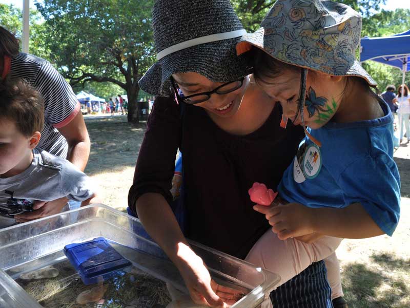 Image for new england aquarium at boston parks