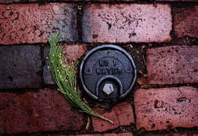 Water Meter Cover Seen in Beacon Hill