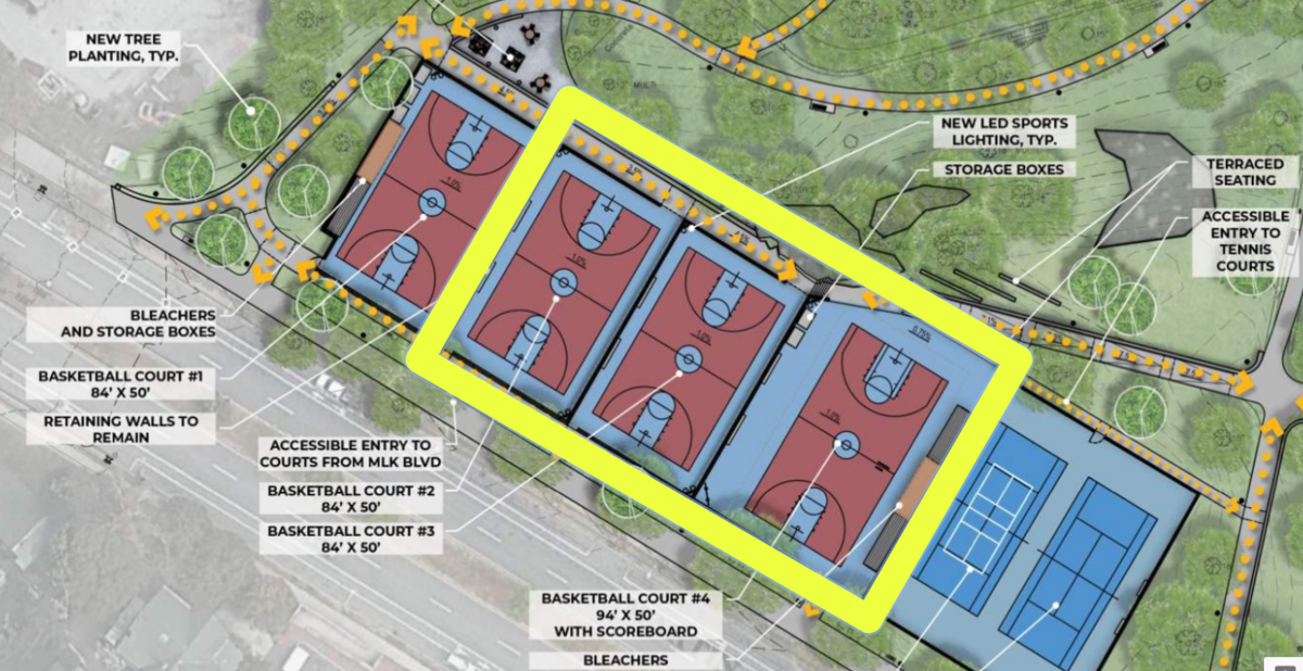 Malcolm X Park basketball court site plan