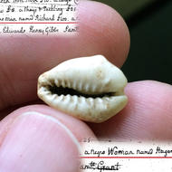 fingers holding a cowrie shell with text overlay describing enslaved people in Boston 