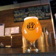 A beer from 67 degrees