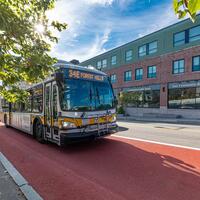 MBTA Roslindale Bus Lane